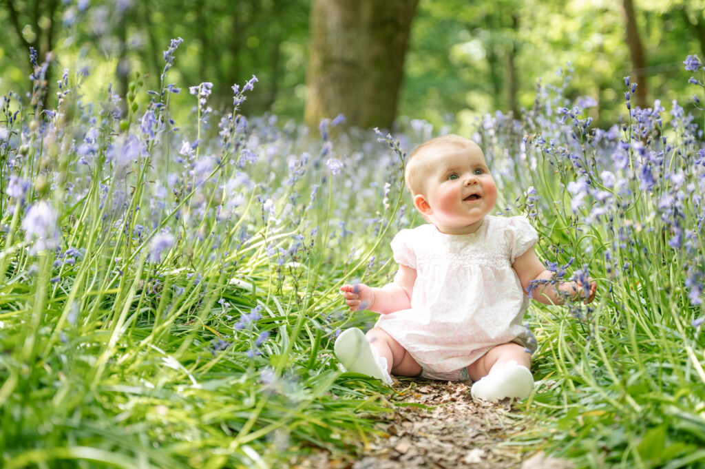 hertfordshire bluebell wood family photographer