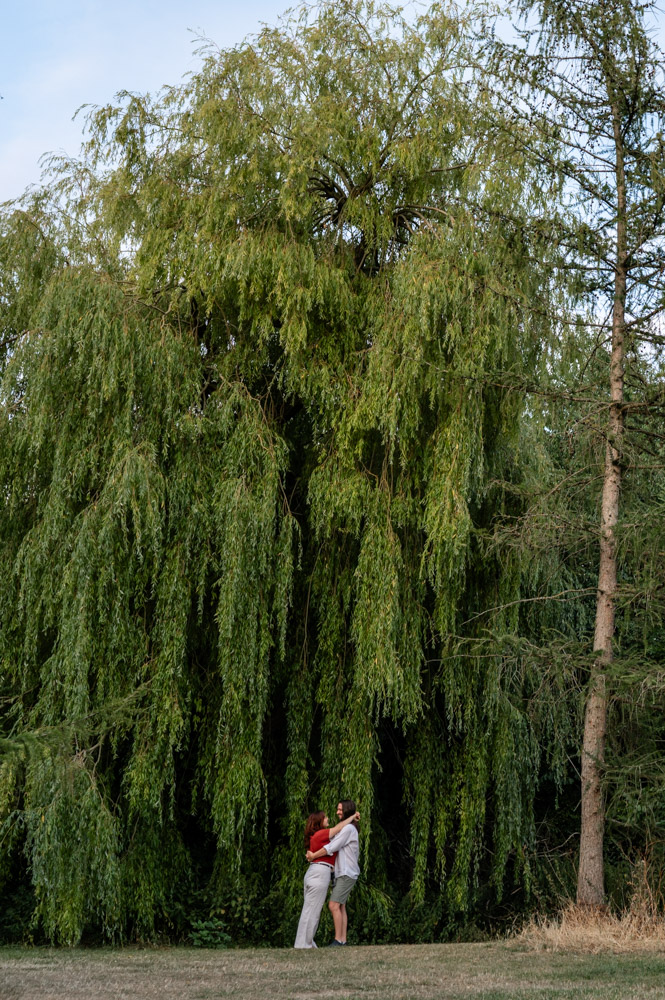 couple's photoshoot in Leavesden Country Park