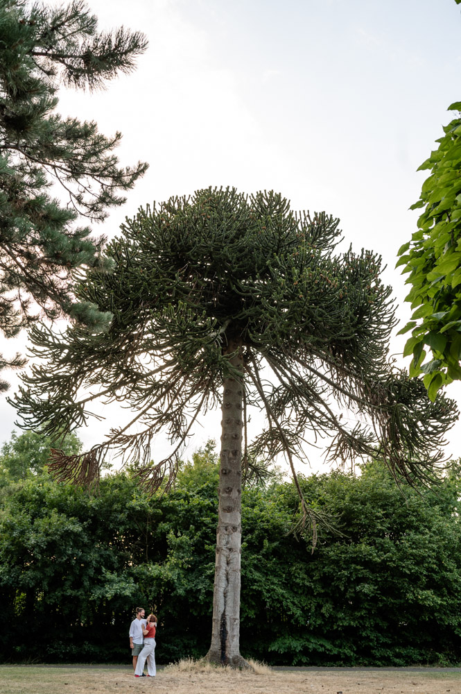 couple's photoshoot in Leavesden Country Park