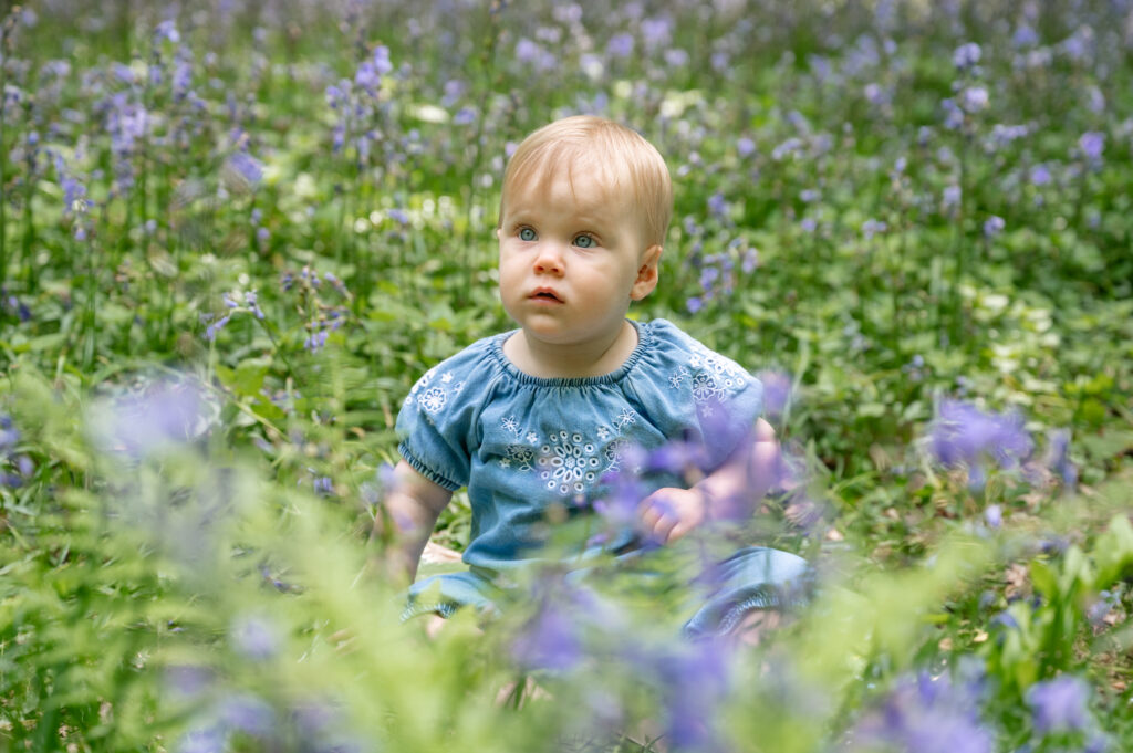 bluebell photography session