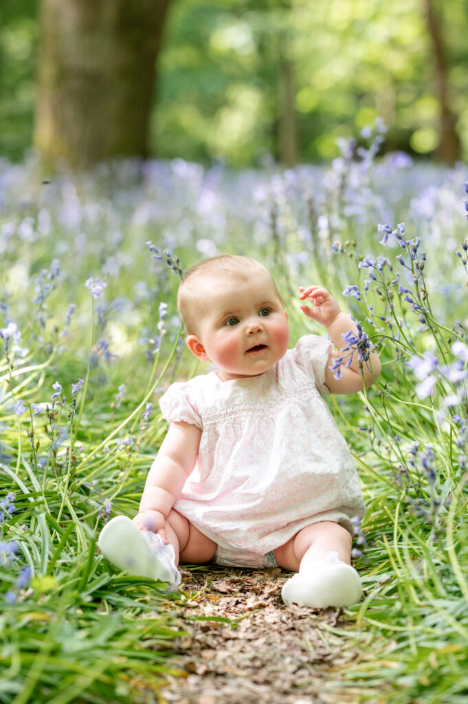 Hertfordshire Bluebell Photoshoots