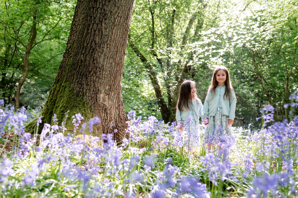 Hertfordshire bluebell family photography